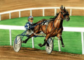 Standardbred, Equine Art - Blue and Bay